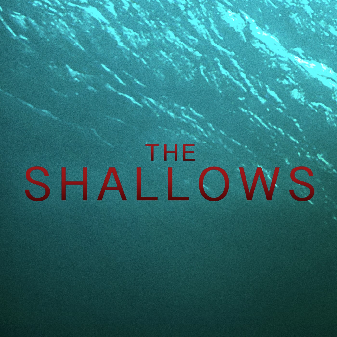 the shallows full movie reddit