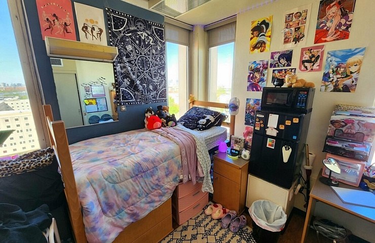 One piece room  One piece theme, Anime bedroom ideas, Cute room ideas