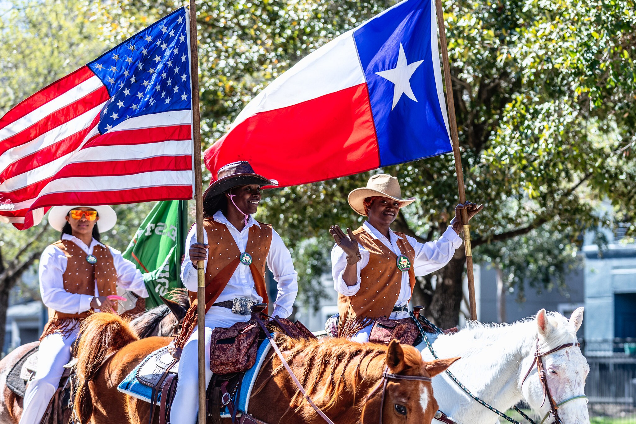 Houston Livestock Show and Rodeo 2024 Preview Cooglife