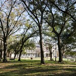 Why You Should Romanticize Your Walks to Class