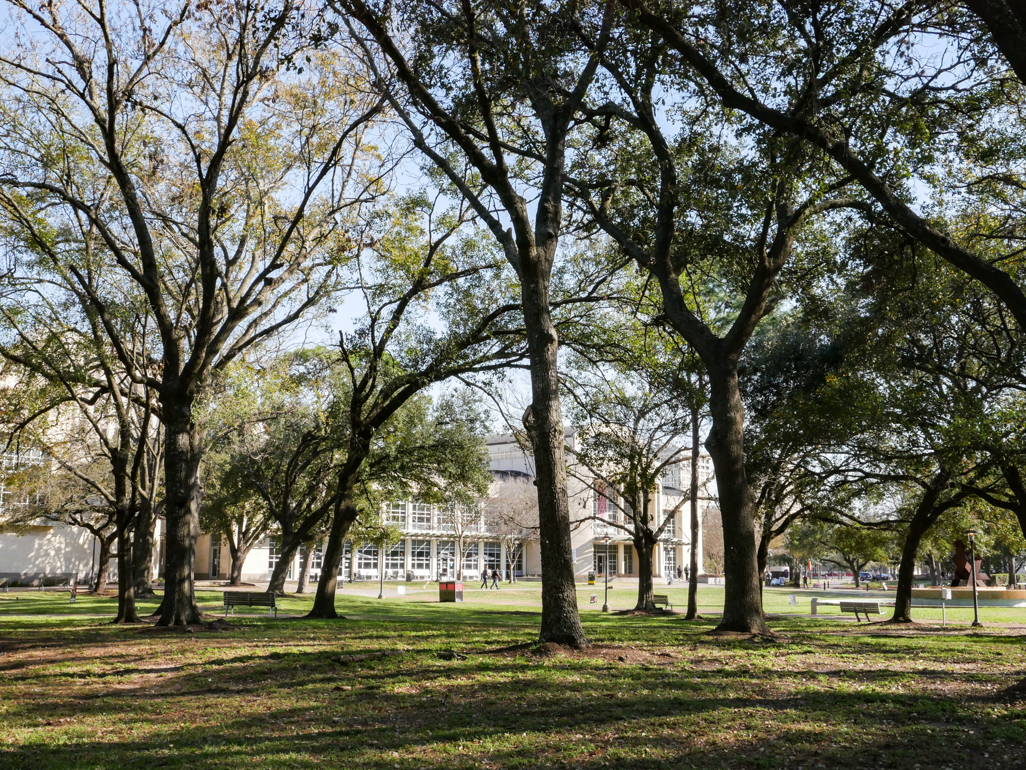 Why You Should Romanticize Your Walks to Class