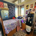 The ultimate guide to a maximalist’s dorm decor