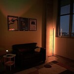Navigating College Life as a Homebody